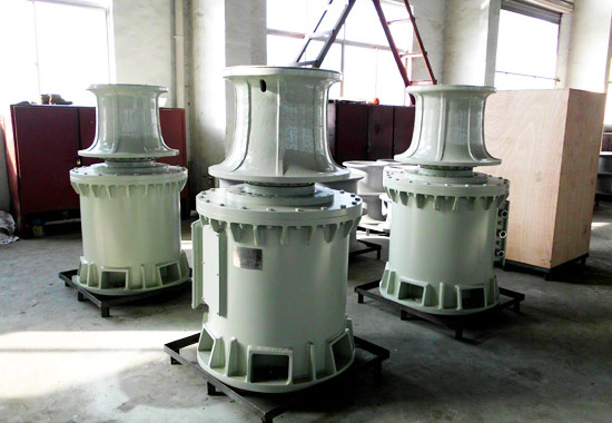 Vertical Electric Capstan Manufacturer